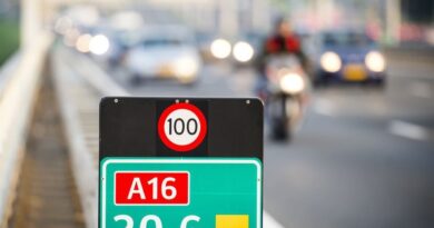 Why do some roads in cold countries have poles by the side of the road? Why do some roads in cold countries have poles by the side of the road?